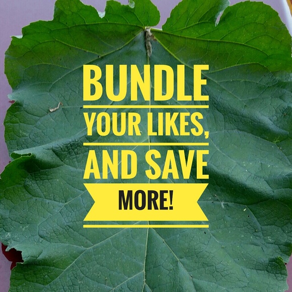 Neiman Marcus summer beachy gauze/lace top LG - Picture 7 of 7